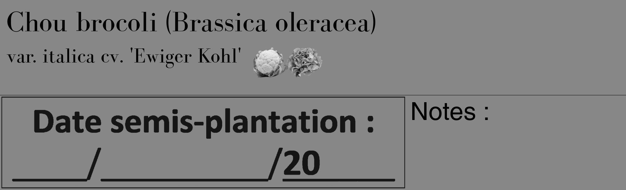 Étiquette de : Brassica oleracea var. italica cv. 'Ewiger Kohl' - format c - style noire12_basique_basiquebod avec comestibilité simplifiée