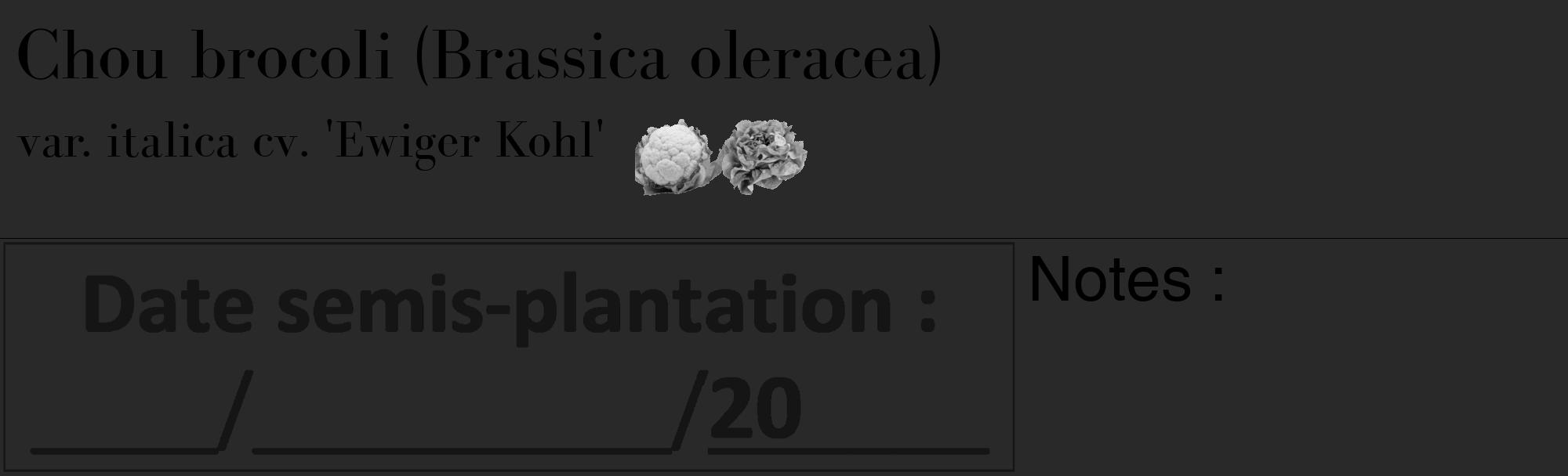 Étiquette de : Brassica oleracea var. italica cv. 'Ewiger Kohl' - format c - style noire34_basique_basiquebod avec comestibilité simplifiée