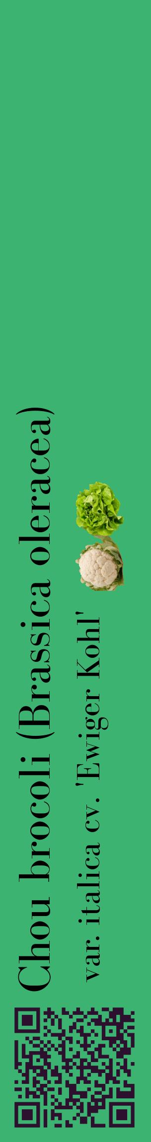 Étiquette de : Brassica oleracea var. italica cv. 'Ewiger Kohl' - format c - style noire12_basiquebod avec qrcode et comestibilité simplifiée