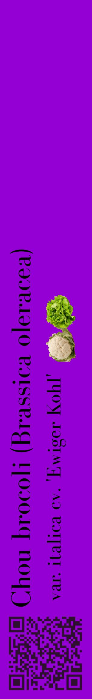 Étiquette de : Brassica oleracea var. italica cv. 'Ewiger Kohl' - format c - style noire48_basiquebod avec qrcode et comestibilité simplifiée