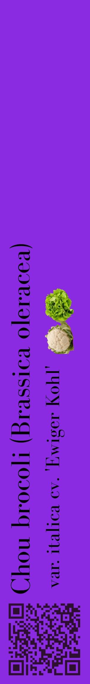 Étiquette de : Brassica oleracea var. italica cv. 'Ewiger Kohl' - format c - style noire49_basiquebod avec qrcode et comestibilité simplifiée