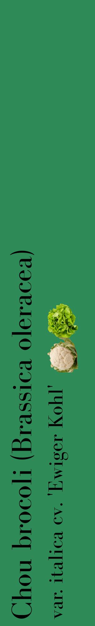 Étiquette de : Brassica oleracea var. italica cv. 'Ewiger Kohl' - format c - style noire11_basiquebod avec comestibilité simplifiée