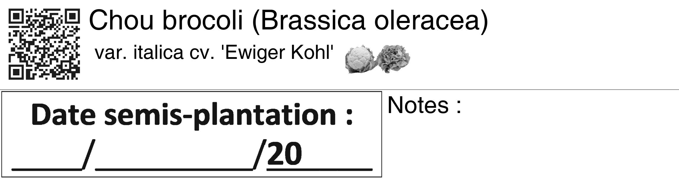 Étiquette de : Brassica oleracea var. italica cv. 'Ewiger Kohl' - format c - style noire60_basiquegrrvhel avec qrcode et comestibilité simplifiée
