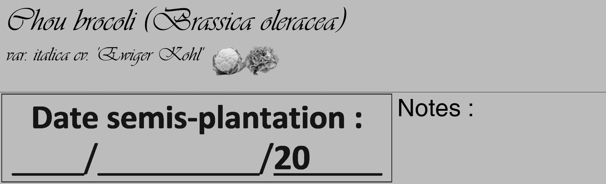 Étiquette de : Brassica oleracea var. italica cv. 'Ewiger Kohl' - format c - style noire1_basique_basiqueviv avec comestibilité simplifiée