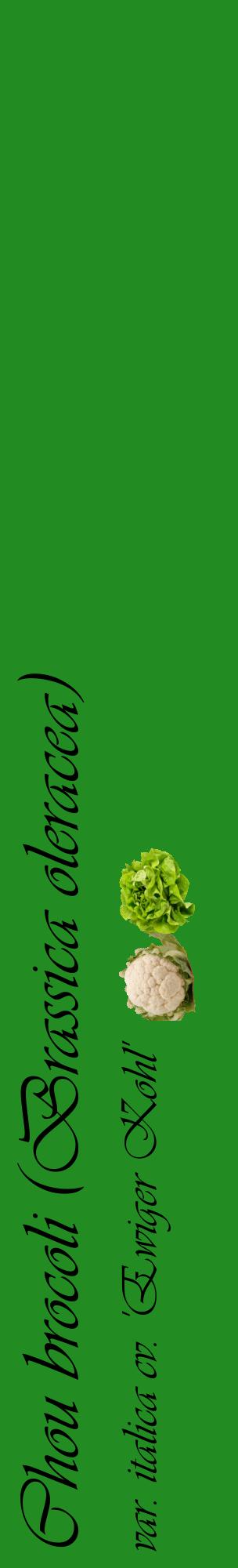 Étiquette de : Brassica oleracea var. italica cv. 'Ewiger Kohl' - format c - style noire10_basiqueviv avec comestibilité simplifiée