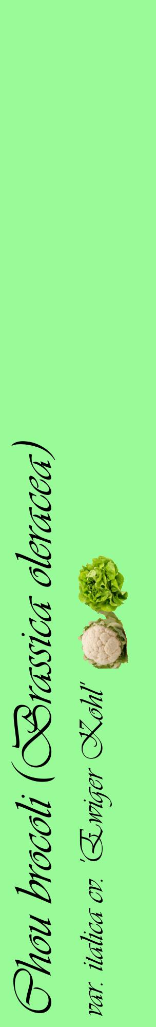 Étiquette de : Brassica oleracea var. italica cv. 'Ewiger Kohl' - format c - style noire14_basiqueviv avec comestibilité simplifiée