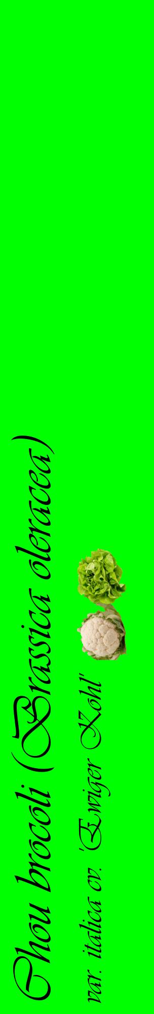 Étiquette de : Brassica oleracea var. italica cv. 'Ewiger Kohl' - format c - style noire16_basiqueviv avec comestibilité simplifiée
