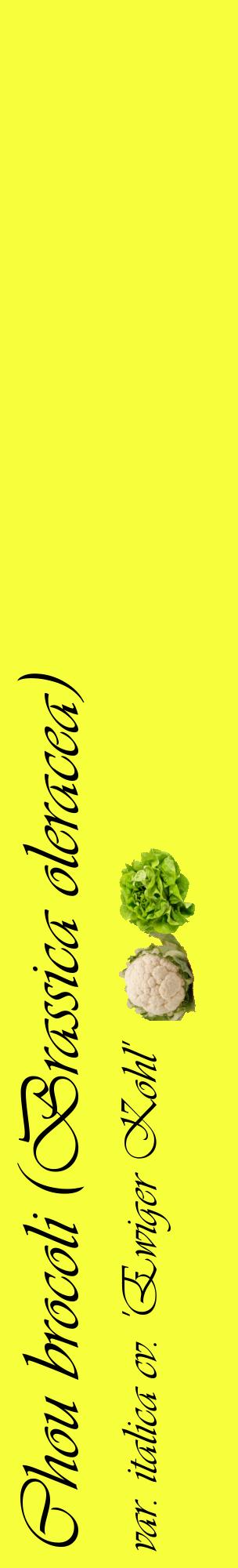 Étiquette de : Brassica oleracea var. italica cv. 'Ewiger Kohl' - format c - style noire18_basiqueviv avec comestibilité simplifiée