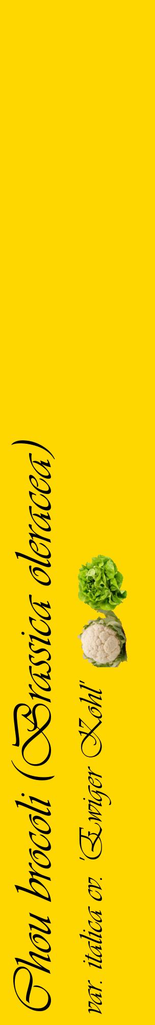 Étiquette de : Brassica oleracea var. italica cv. 'Ewiger Kohl' - format c - style noire21_basiqueviv avec comestibilité simplifiée
