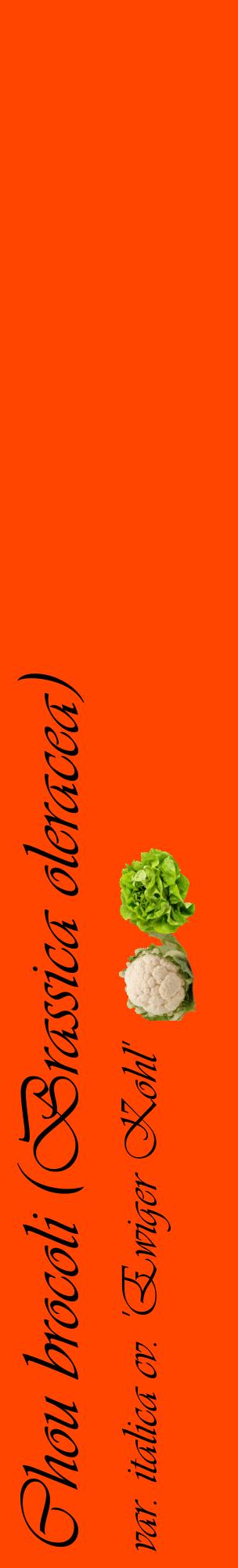 Étiquette de : Brassica oleracea var. italica cv. 'Ewiger Kohl' - format c - style noire26_basiqueviv avec comestibilité simplifiée