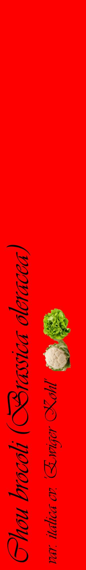 Étiquette de : Brassica oleracea var. italica cv. 'Ewiger Kohl' - format c - style noire27_basiqueviv avec comestibilité simplifiée