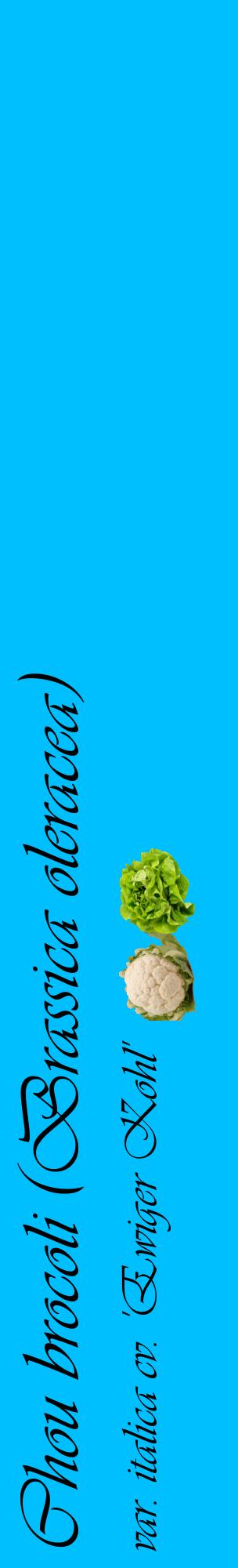 Étiquette de : Brassica oleracea var. italica cv. 'Ewiger Kohl' - format c - style noire2_basiqueviv avec comestibilité simplifiée