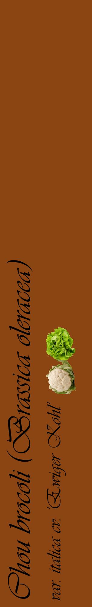 Étiquette de : Brassica oleracea var. italica cv. 'Ewiger Kohl' - format c - style noire30_basiqueviv avec comestibilité simplifiée