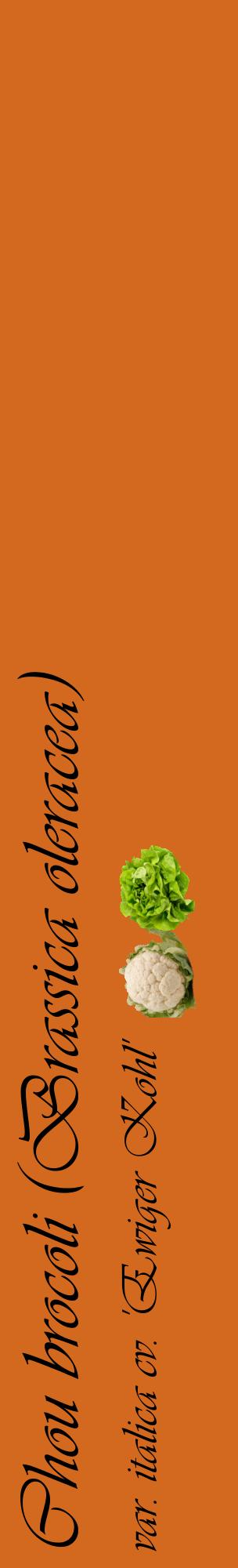 Étiquette de : Brassica oleracea var. italica cv. 'Ewiger Kohl' - format c - style noire31_basiqueviv avec comestibilité simplifiée