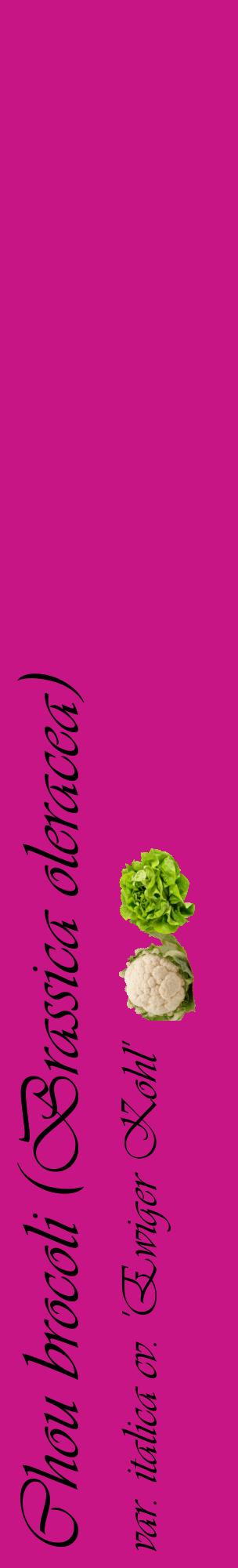 Étiquette de : Brassica oleracea var. italica cv. 'Ewiger Kohl' - format c - style noire45_basiqueviv avec comestibilité simplifiée