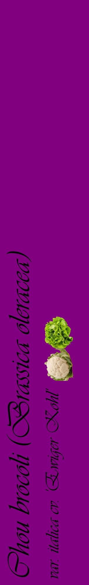 Étiquette de : Brassica oleracea var. italica cv. 'Ewiger Kohl' - format c - style noire46_basiqueviv avec comestibilité simplifiée