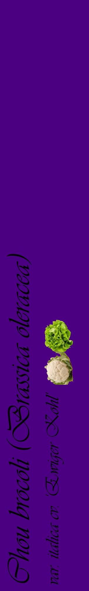 Étiquette de : Brassica oleracea var. italica cv. 'Ewiger Kohl' - format c - style noire47_basiqueviv avec comestibilité simplifiée