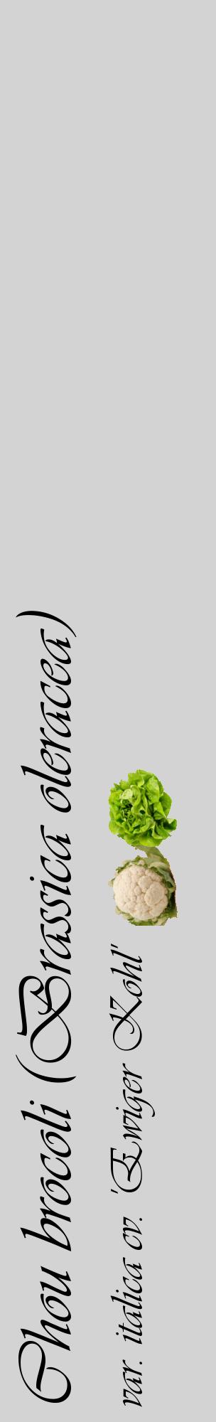 Étiquette de : Brassica oleracea var. italica cv. 'Ewiger Kohl' - format c - style noire56_basiqueviv avec comestibilité simplifiée