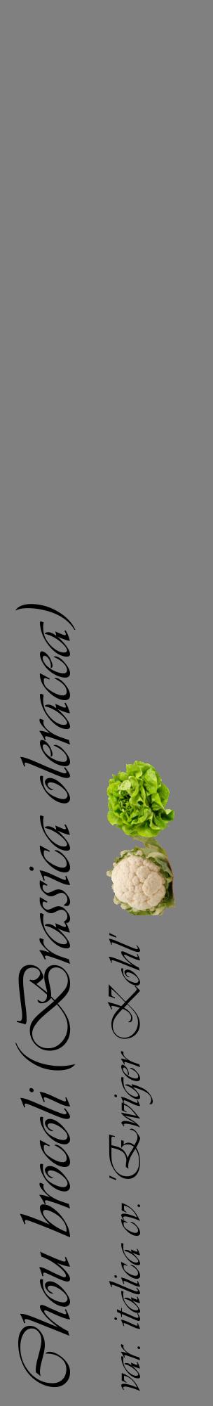 Étiquette de : Brassica oleracea var. italica cv. 'Ewiger Kohl' - format c - style noire57_basiqueviv avec comestibilité simplifiée