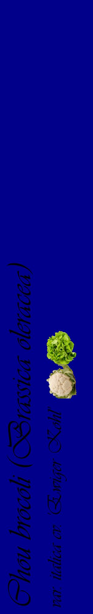 Étiquette de : Brassica oleracea var. italica cv. 'Ewiger Kohl' - format c - style noire7_basiqueviv avec comestibilité simplifiée