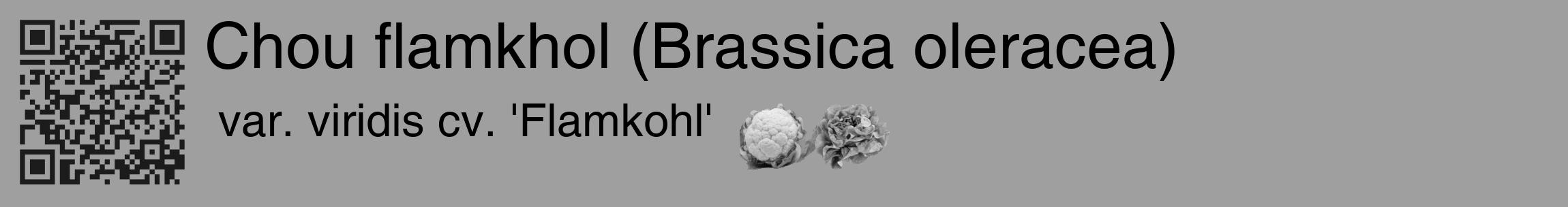 Étiquette de : Brassica oleracea var. viridis cv. 'Flamkohl' - format c - style noire24_basique_basiquehel avec qrcode et comestibilité simplifiée