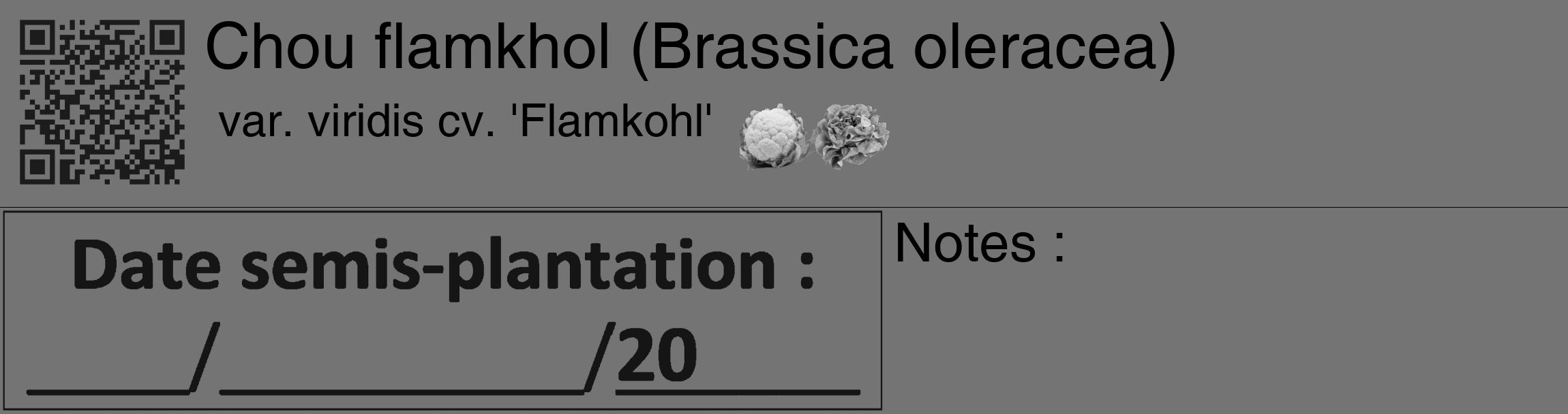 Étiquette de : Brassica oleracea var. viridis cv. 'Flamkohl' - format c - style noire26_basique_basiquehel avec qrcode et comestibilité simplifiée