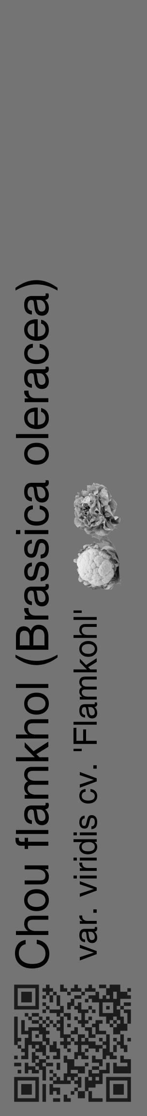Étiquette de : Brassica oleracea var. viridis cv. 'Flamkohl' - format c - style noire26_basique_basiquehel avec qrcode et comestibilité simplifiée - position verticale