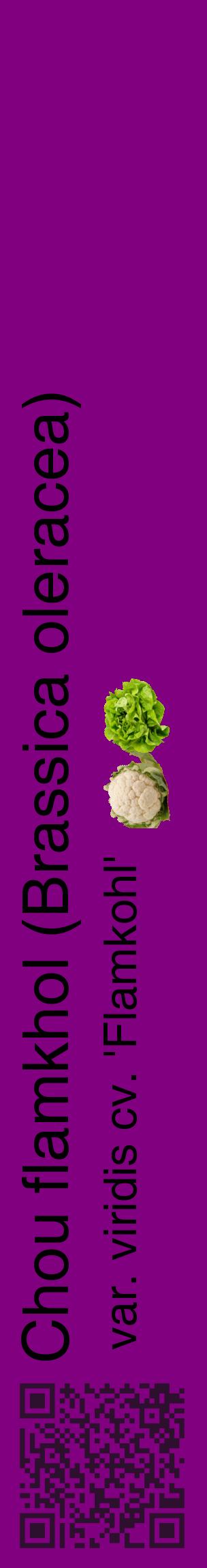 Étiquette de : Brassica oleracea var. viridis cv. 'Flamkohl' - format c - style noire46_basiquehel avec qrcode et comestibilité simplifiée
