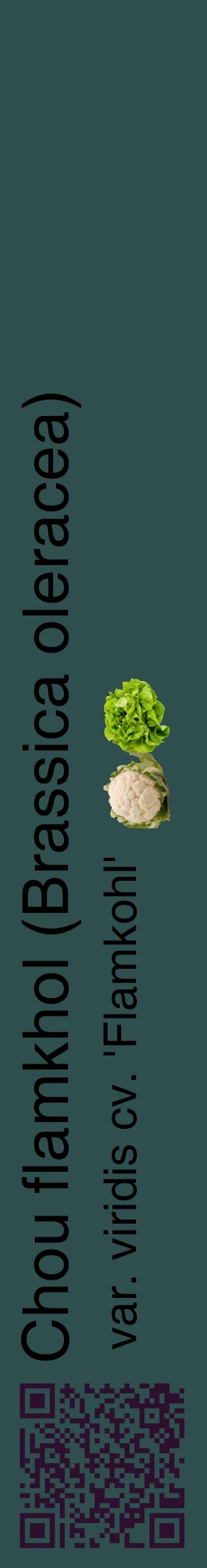 Étiquette de : Brassica oleracea var. viridis cv. 'Flamkohl' - format c - style noire58_basiquehel avec qrcode et comestibilité simplifiée