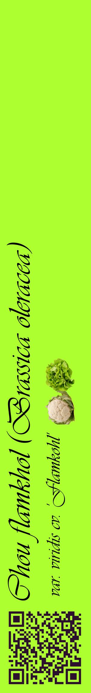 Étiquette de : Brassica oleracea var. viridis cv. 'Flamkohl' - format c - style noire17_basiqueviv avec qrcode et comestibilité simplifiée