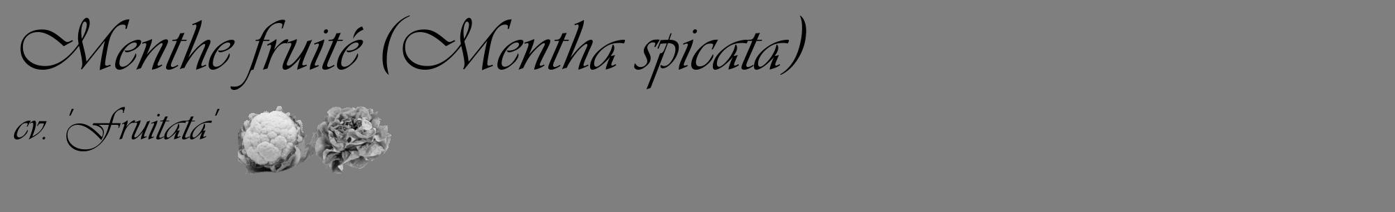 Étiquette de : Mentha spicata cv. 'Fruitata' - format c - style noire31basique_basique_basiqueviv avec comestibilité simplifiée