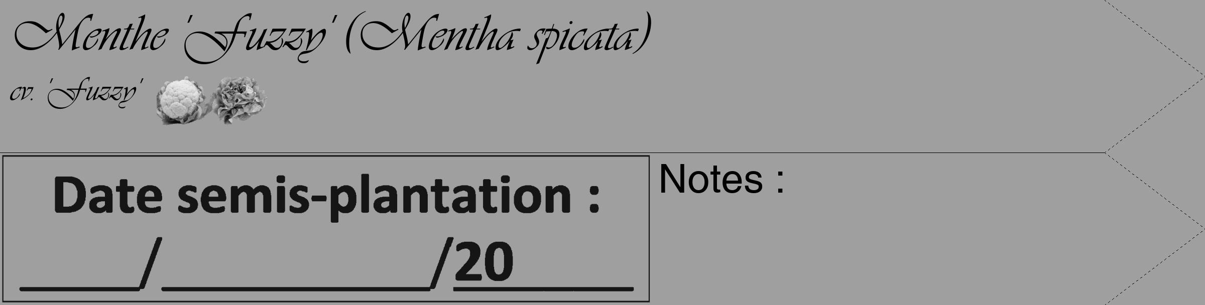 Étiquette de : Mentha spicata cv. 'Fuzzy' - format c - style noire24_simple_simpleviv avec comestibilité simplifiée