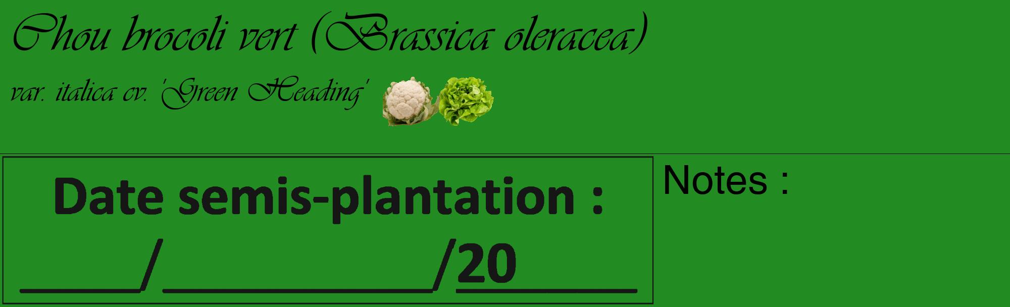 Étiquette de : Brassica oleracea var. italica cv. 'Green Heading' - format c - style noire10_basique_basiqueviv avec comestibilité simplifiée