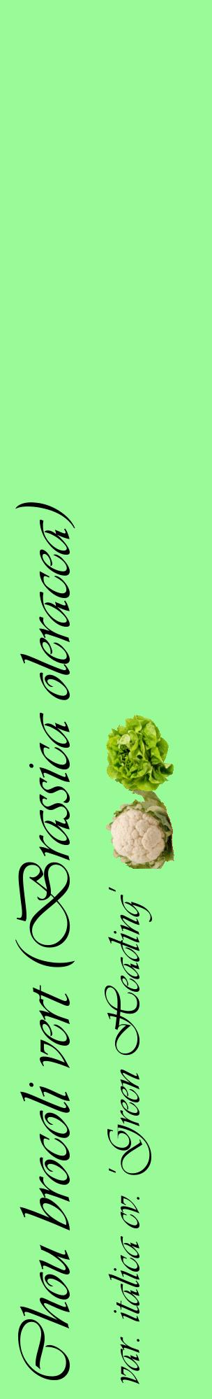 Étiquette de : Brassica oleracea var. italica cv. 'Green Heading' - format c - style noire14_basiqueviv avec comestibilité simplifiée