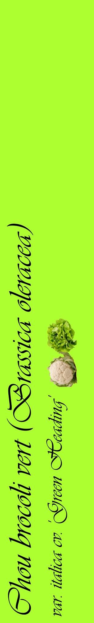 Étiquette de : Brassica oleracea var. italica cv. 'Green Heading' - format c - style noire17_basiqueviv avec comestibilité simplifiée