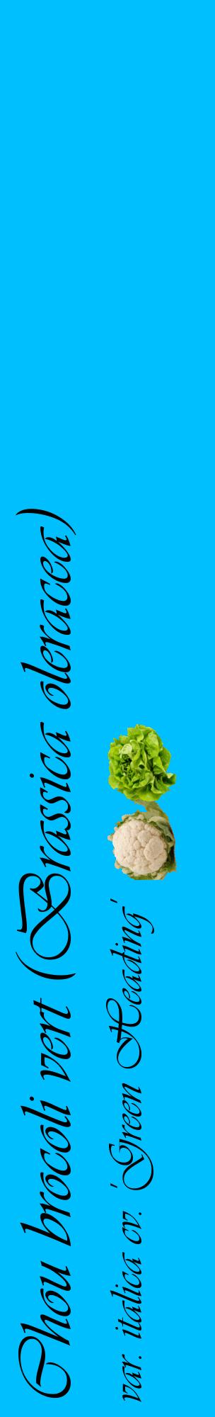 Étiquette de : Brassica oleracea var. italica cv. 'Green Heading' - format c - style noire2_basiqueviv avec comestibilité simplifiée