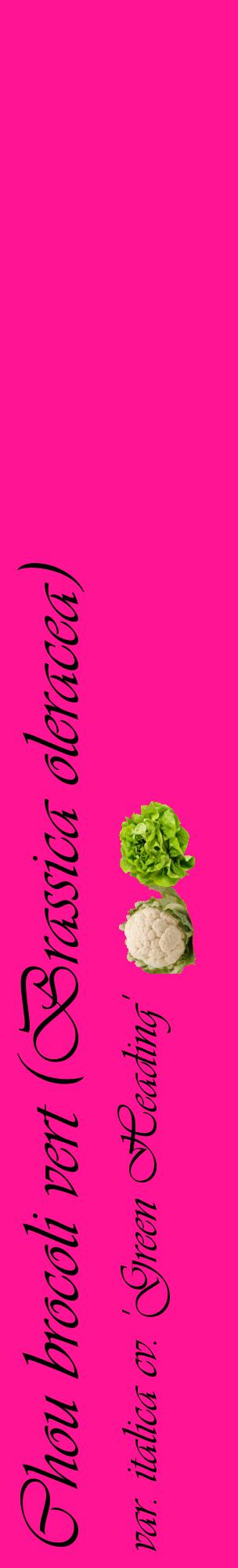 Étiquette de : Brassica oleracea var. italica cv. 'Green Heading' - format c - style noire43_basiqueviv avec comestibilité simplifiée