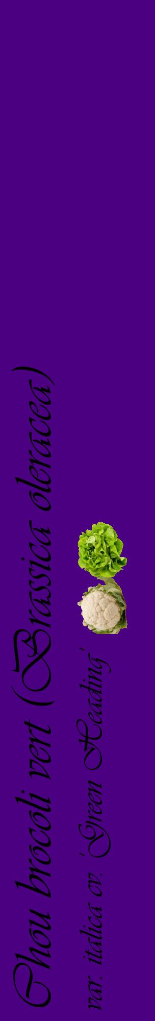 Étiquette de : Brassica oleracea var. italica cv. 'Green Heading' - format c - style noire47_basiqueviv avec comestibilité simplifiée