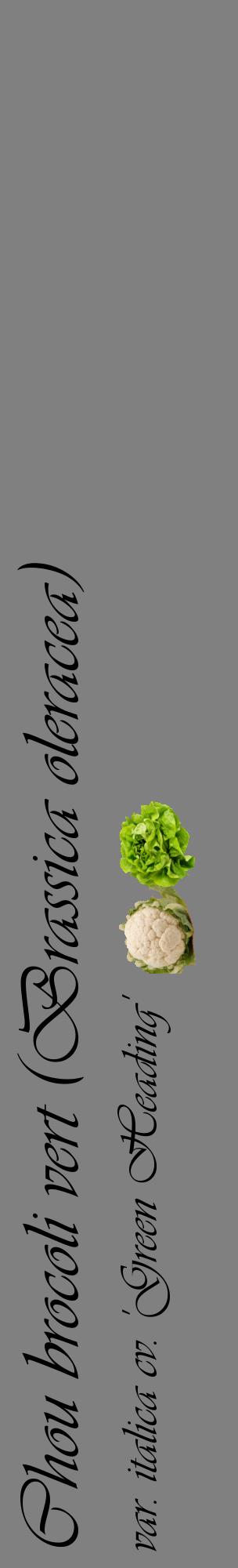 Étiquette de : Brassica oleracea var. italica cv. 'Green Heading' - format c - style noire57_basiqueviv avec comestibilité simplifiée