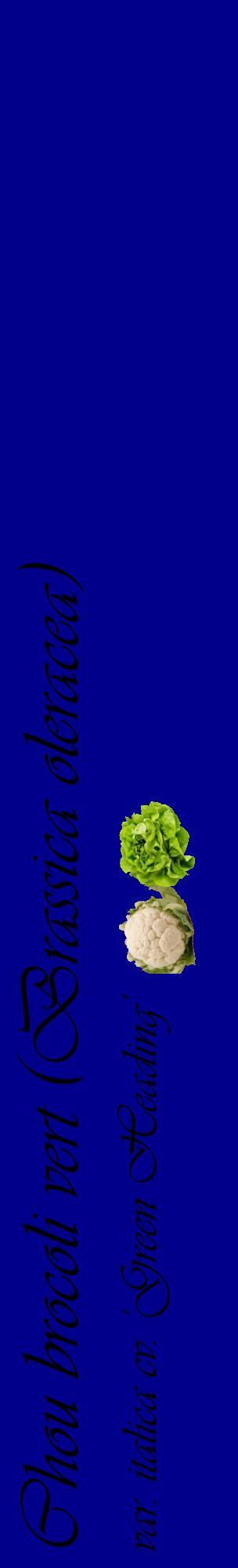 Étiquette de : Brassica oleracea var. italica cv. 'Green Heading' - format c - style noire7_basiqueviv avec comestibilité simplifiée