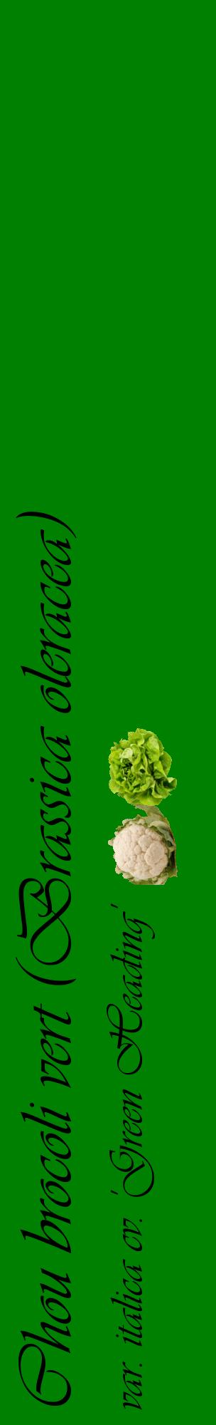 Étiquette de : Brassica oleracea var. italica cv. 'Green Heading' - format c - style noire9_basiqueviv avec comestibilité simplifiée