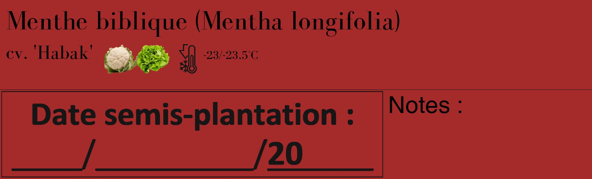 Étiquette de : Mentha longifolia cv. 'Habak' - format c - style noire33_basique_basiquebod avec comestibilité simplifiée