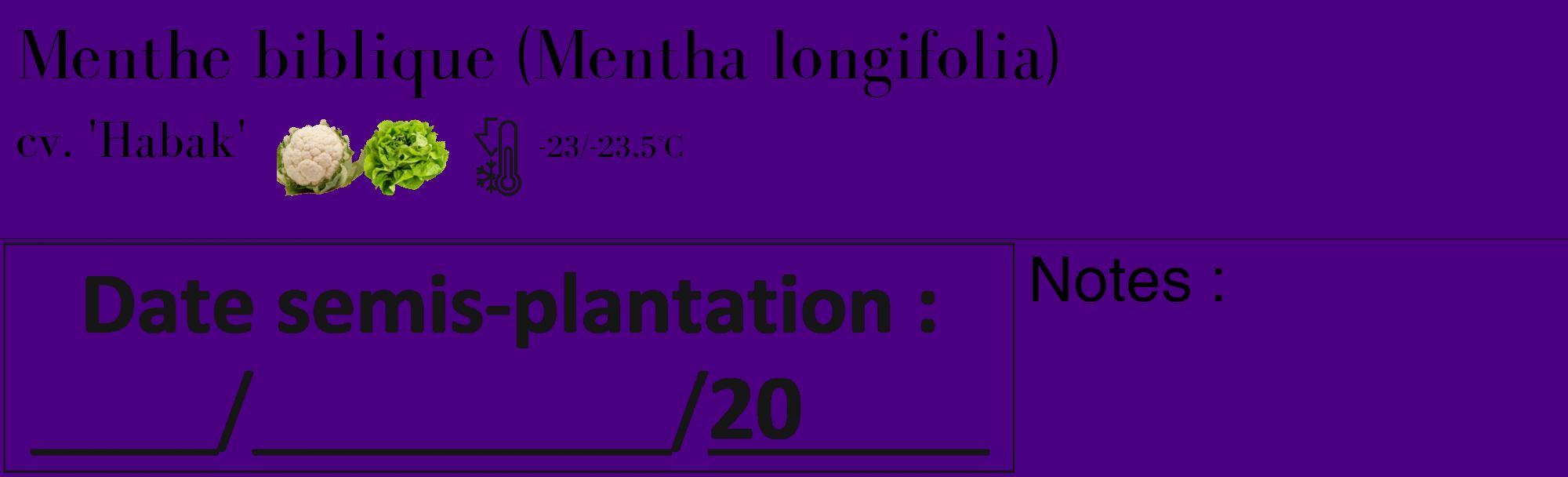 Étiquette de : Mentha longifolia cv. 'Habak' - format c - style noire47_basique_basiquebod avec comestibilité simplifiée