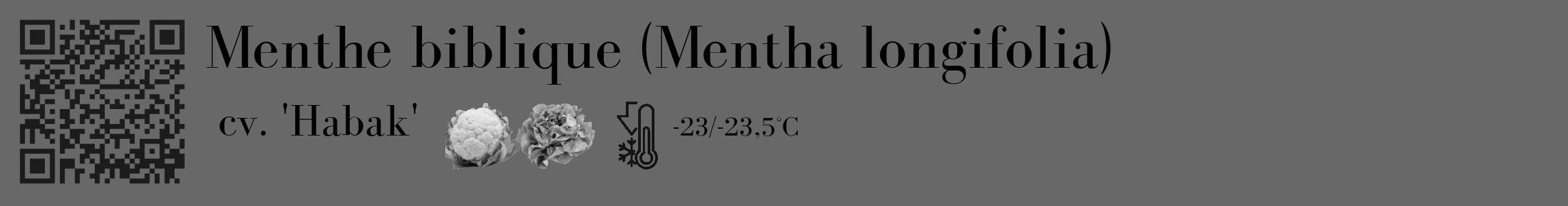Étiquette de : Mentha longifolia cv. 'Habak' - format c - style noire43_basique_basiquebod avec qrcode et comestibilité simplifiée