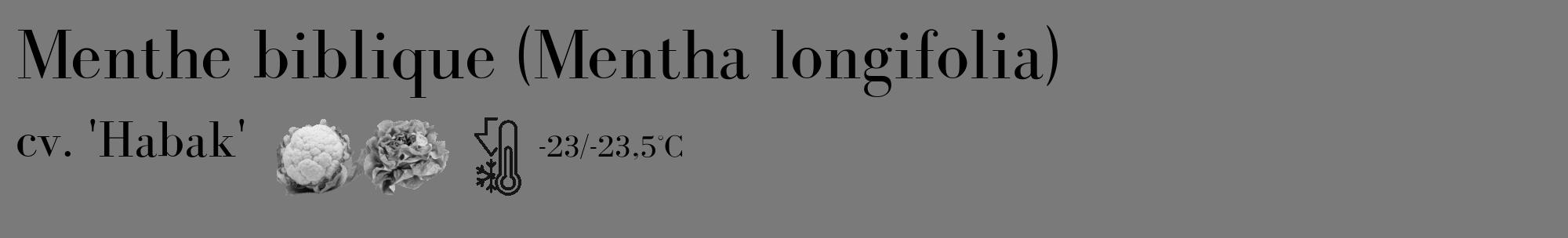 Étiquette de : Mentha longifolia cv. 'Habak' - format c - style noire3_basique_basiquebod avec comestibilité simplifiée