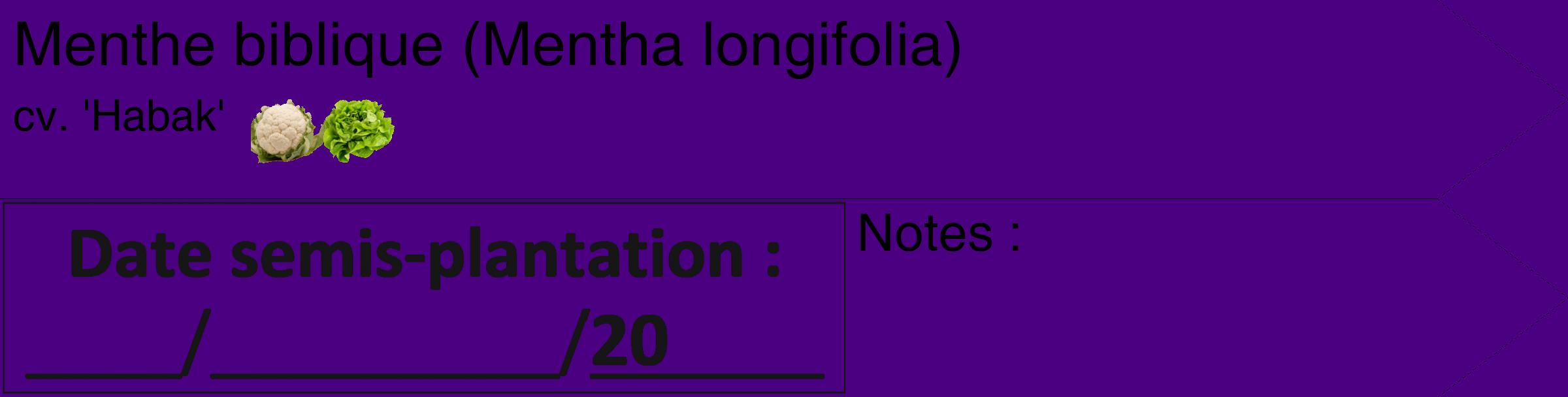 Étiquette de : Mentha longifolia cv. 'Habak' - format c - style noire47_simple_simplehel avec comestibilité simplifiée