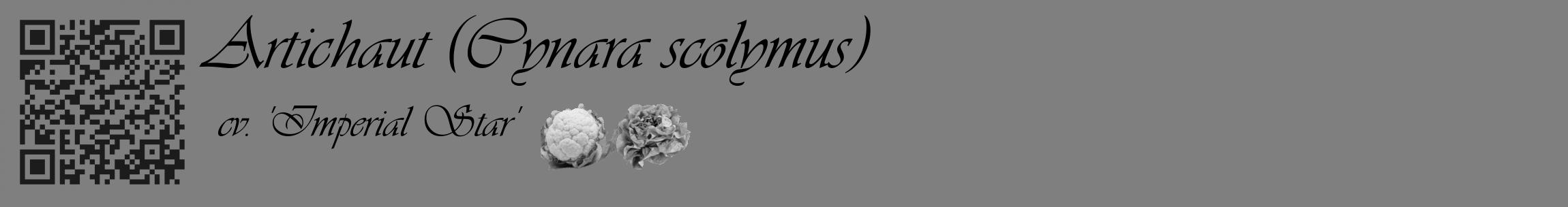 Étiquette de : Cynara scolymus cv. 'Imperial Star' - format c - style noire31_basique_basiqueviv avec qrcode et comestibilité simplifiée