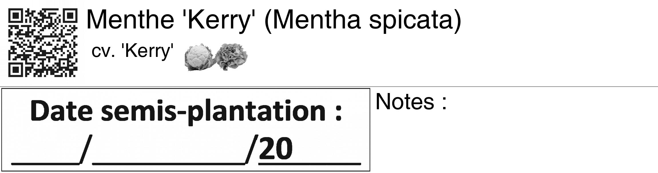 Étiquette de : Mentha spicata cv. 'Kerry' - format c - style noire60_basiquegrrvhel avec qrcode et comestibilité simplifiée