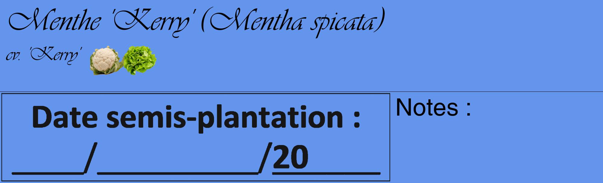 Étiquette de : Mentha spicata cv. 'Kerry' - format c - style noire4_basique_basiqueviv avec comestibilité simplifiée