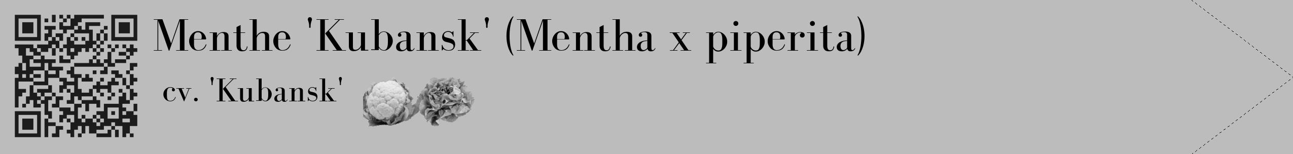 Étiquette de : Mentha x piperita cv. 'Kubansk' - format c - style noire1_simple_simplebod avec qrcode et comestibilité simplifiée